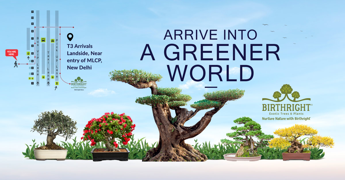 Birthright: A glorious ‘Green’ addition to Delhi Airport