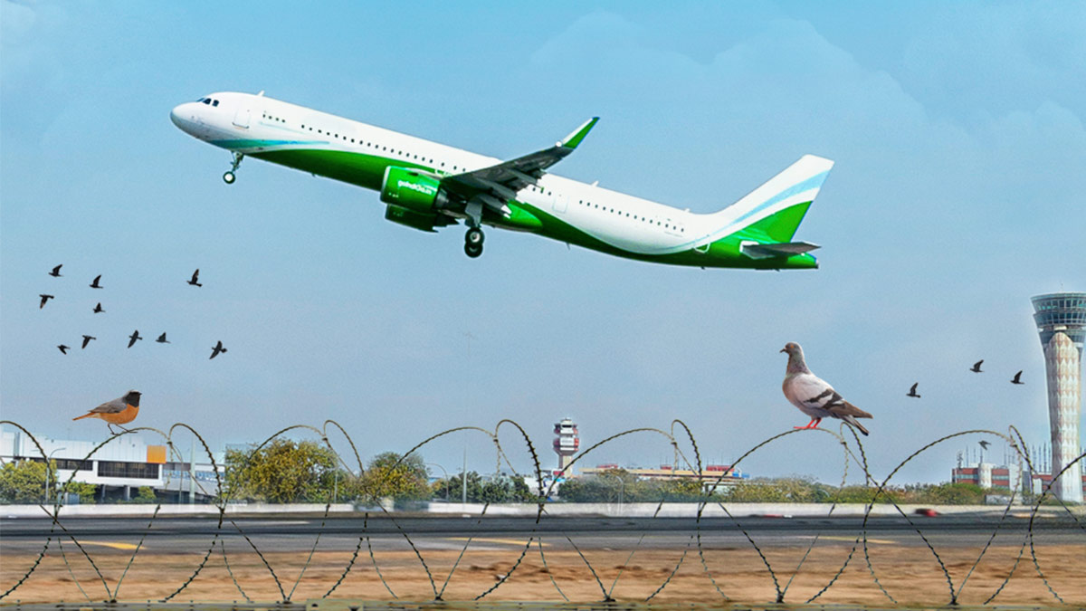 Delhi Airport’s Preventive Measures to Control Bird Strikes