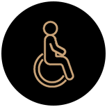 Wheelchair Assistance