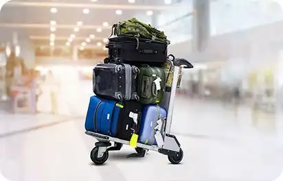 Porter Service Examples International to Domestic Transfer | Delhi Airport